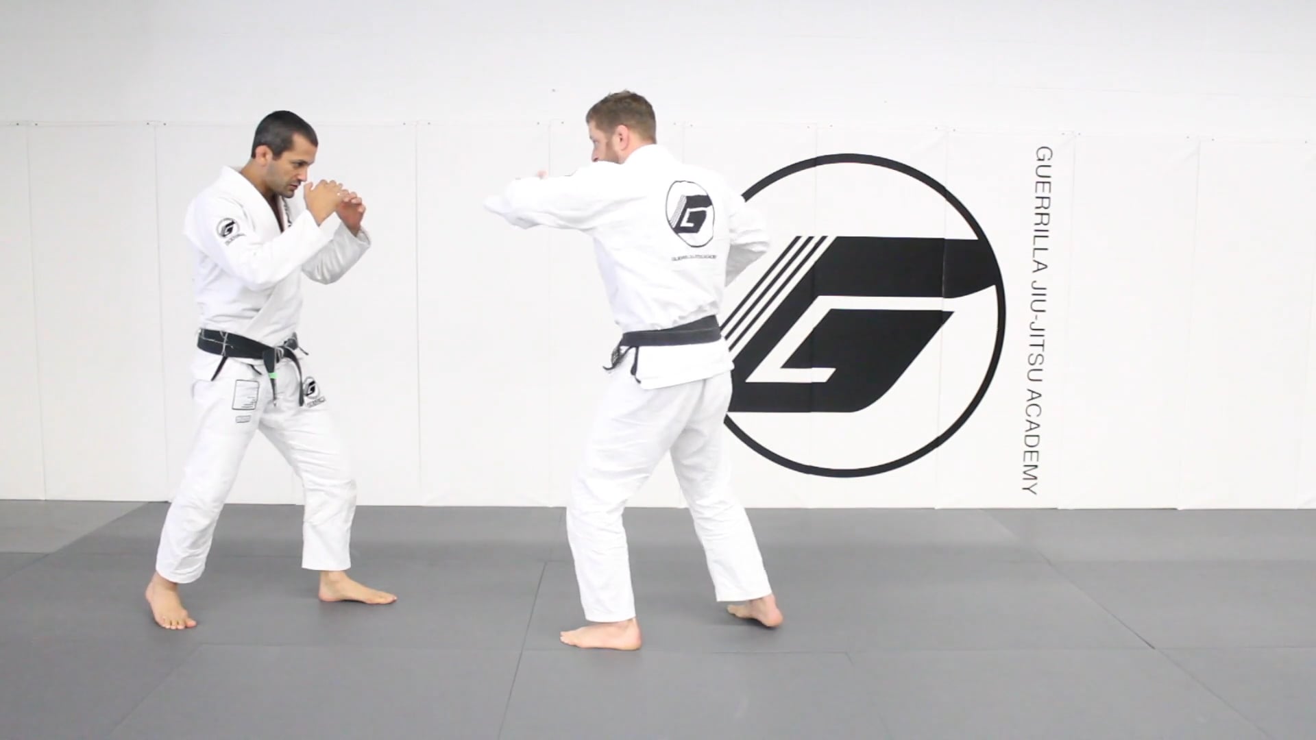 20 Class Online Beginner's Program - Class 6