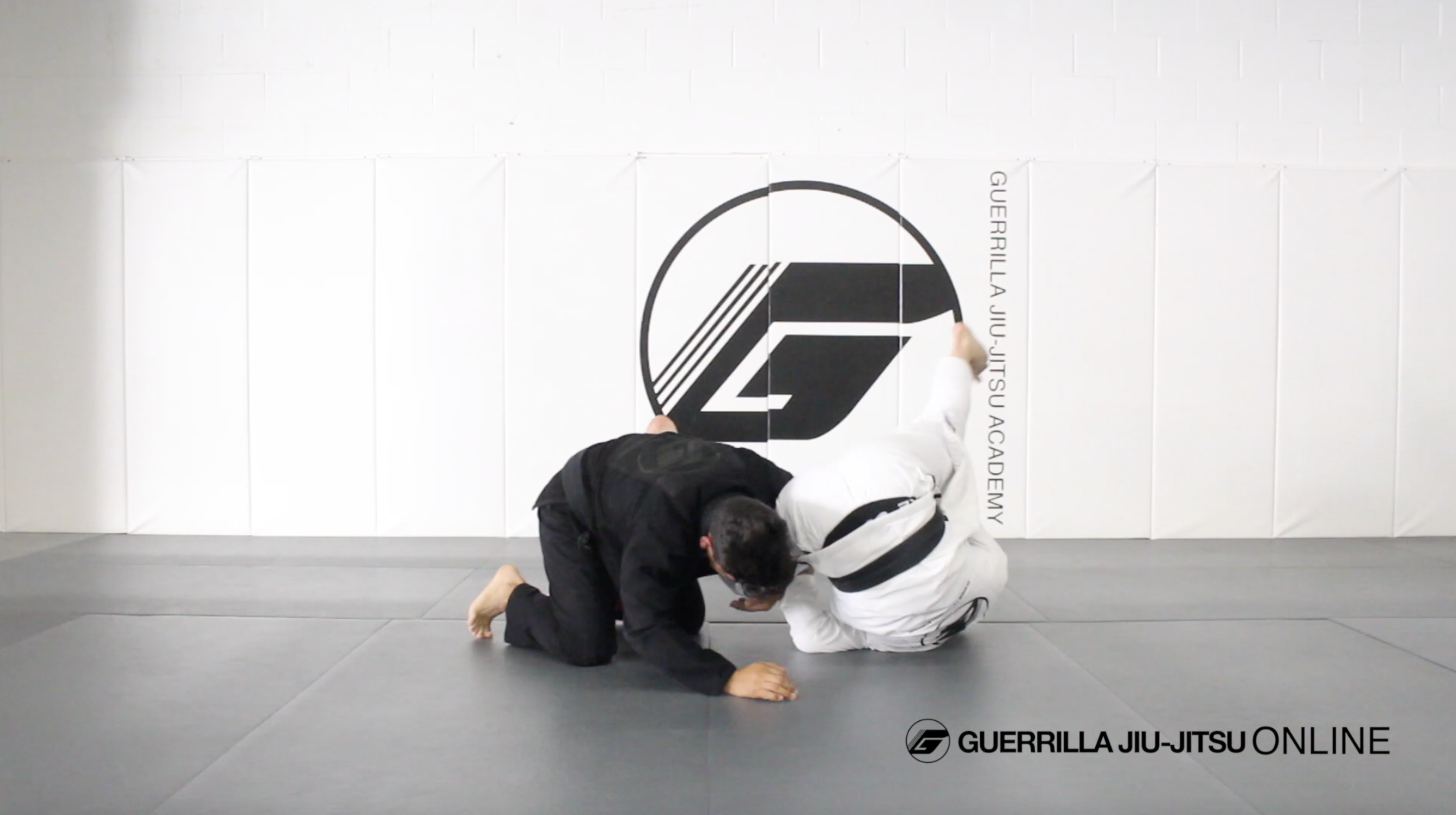 Counter the Single Leg to Omoplata Part 2 - Countering the single in motion