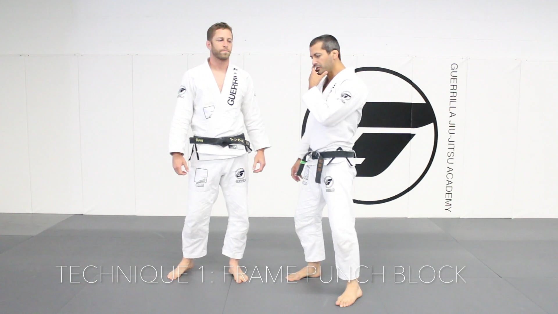 20 Class Online Beginner's Program - Class 5