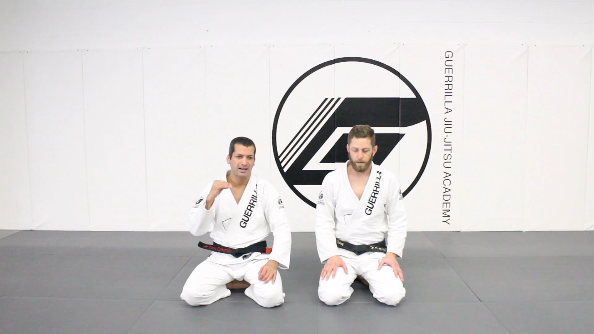 20 Class Online Beginner's Program - Class 19