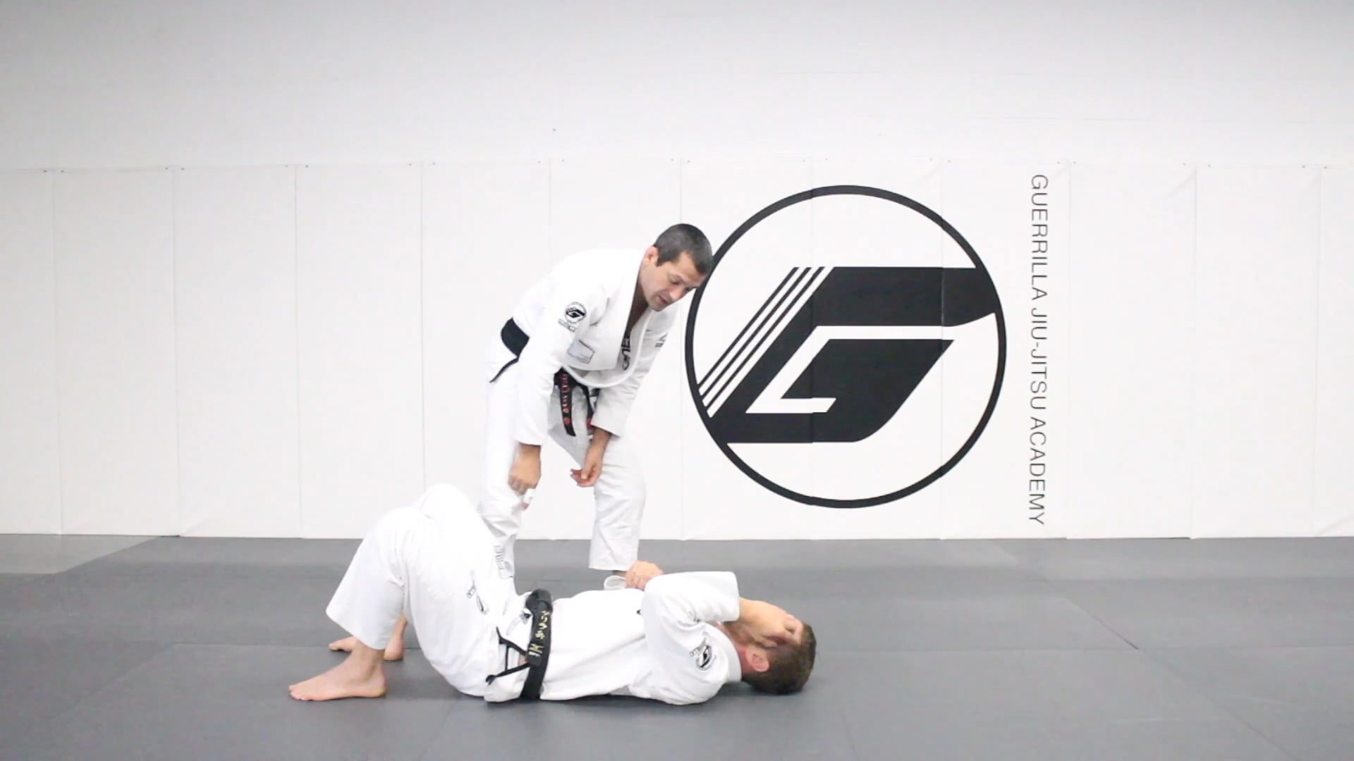 20 Class Online Beginner's Program - Class 14