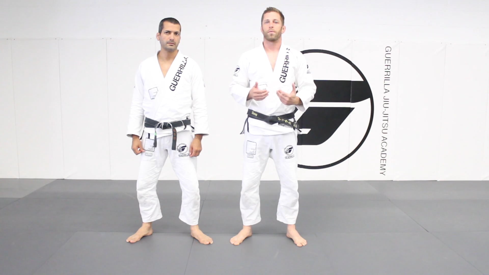 20 Class Online Beginner's Program - Class 9