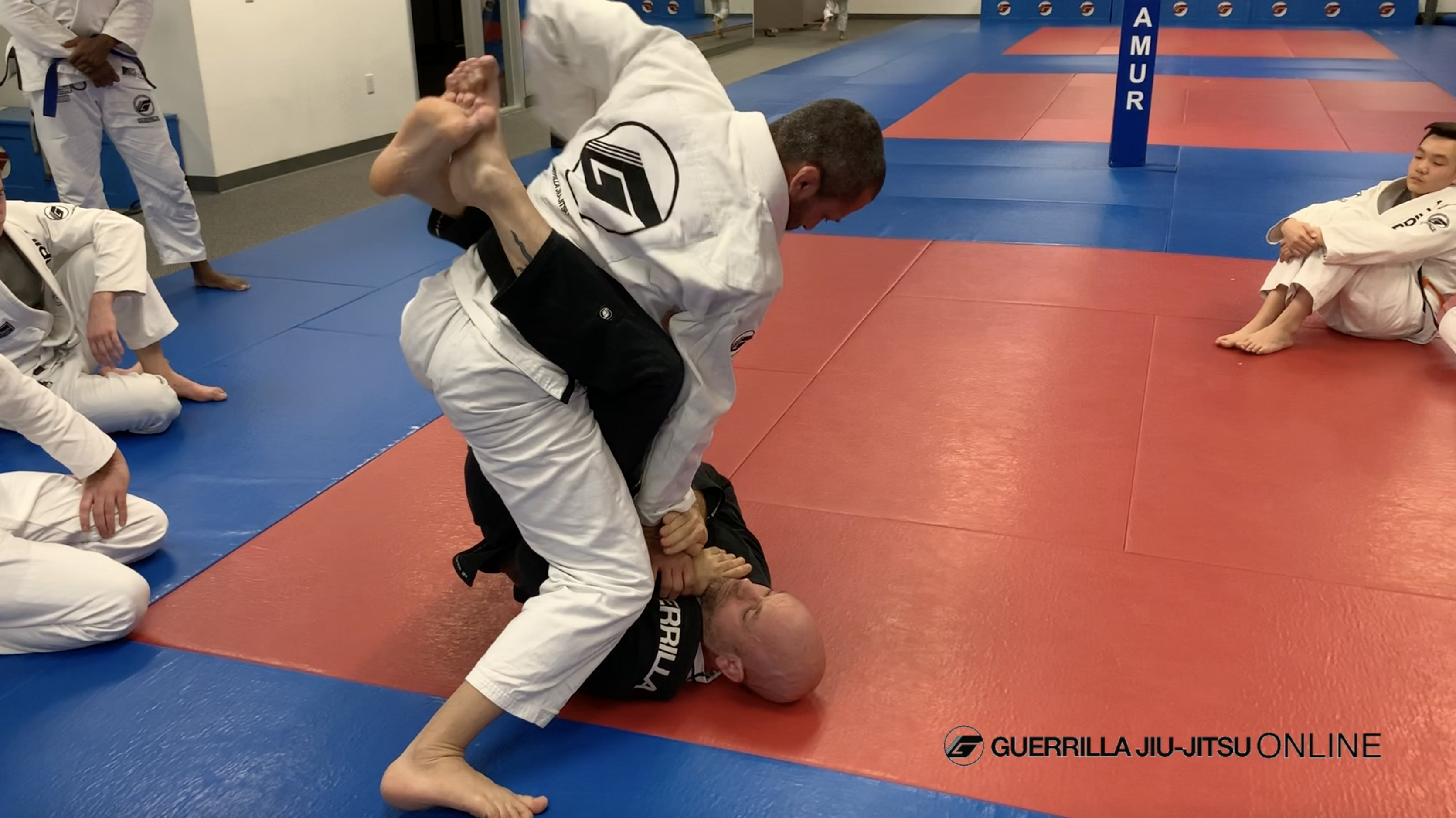 Tips For Striking From Top Closed Guard