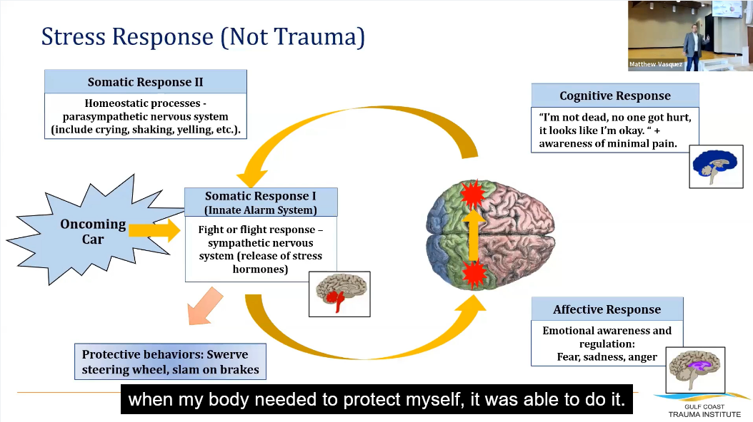 Segment 1 - Fundamentals of Trauma