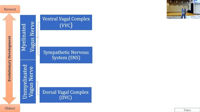 Segment 2 - Trauma Workshop June 2023