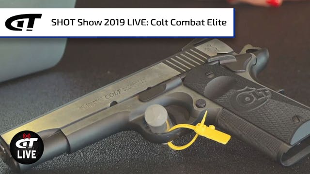 Colt's Combat Elite Government in .45