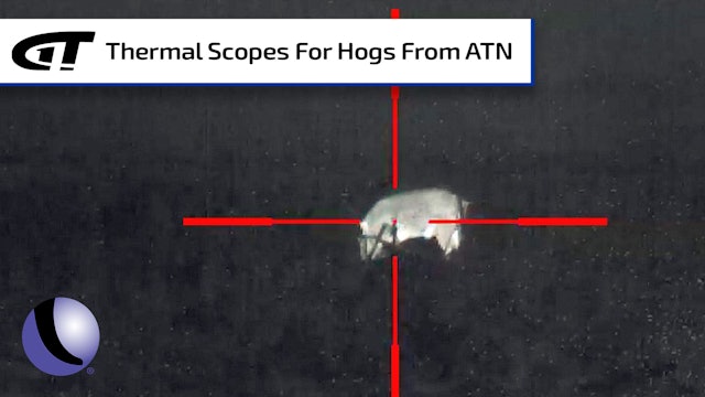 Advantages of Thermal Scopes for Hog Hunting