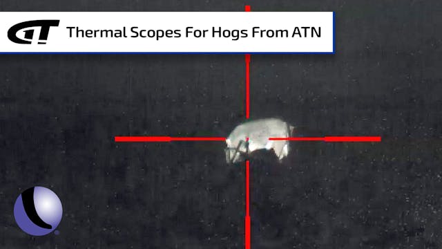 Advantages of Thermal Scopes for Hog ...