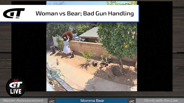 "Momma Bear" vs Real Momma Bear; Ryan’s Brush with the Law