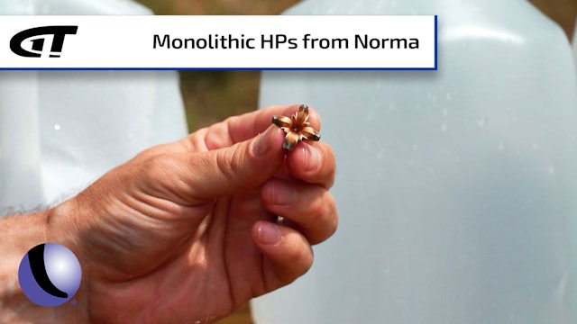 Picture Perfect Self-Defense Ammo: Norma MHP