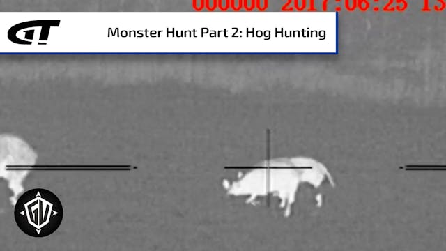 Florida Monster Hunt: P4