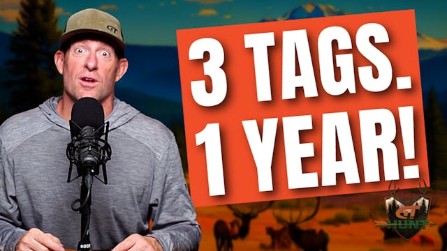 Lucky Tag Draws & Hunt Strategy