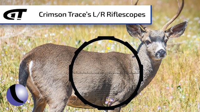 Long Range Riflescopes from Crimson Trace