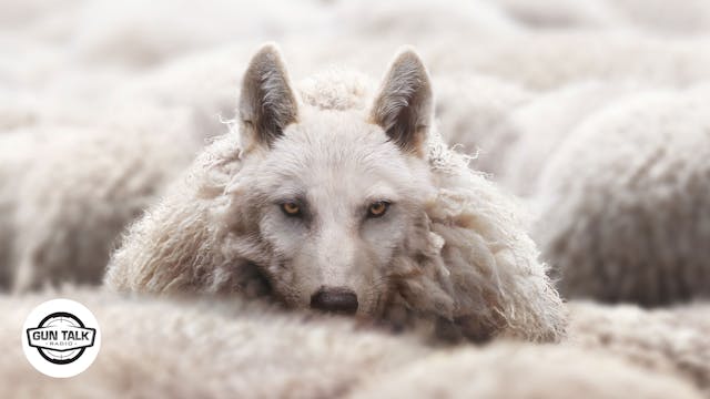 New ‘Gun Owner Group’ - Same False Cl...