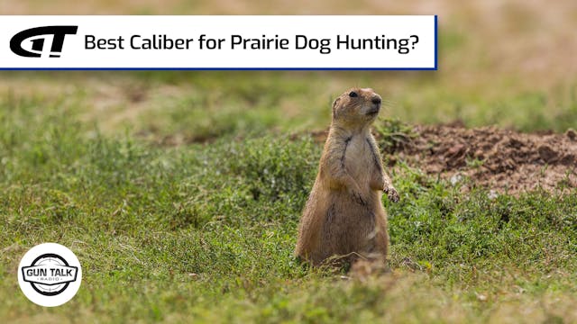 Best Caliber for Long Range Prairie D...