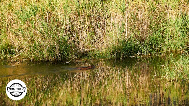 Black Hills Ammo Update