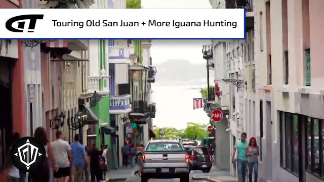 Iguana Go To Puerto Rico: P4