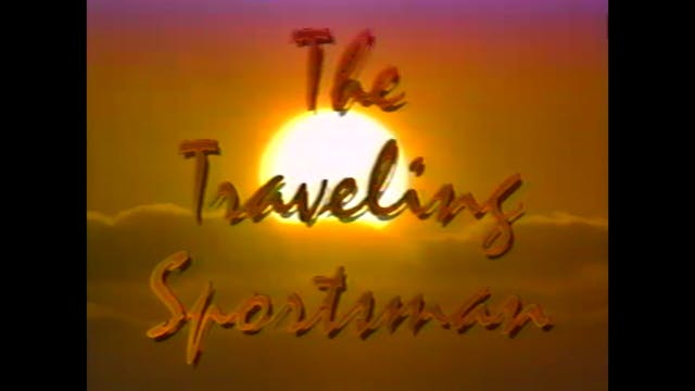 The Traveling Sportsman Hunts Whiteta...