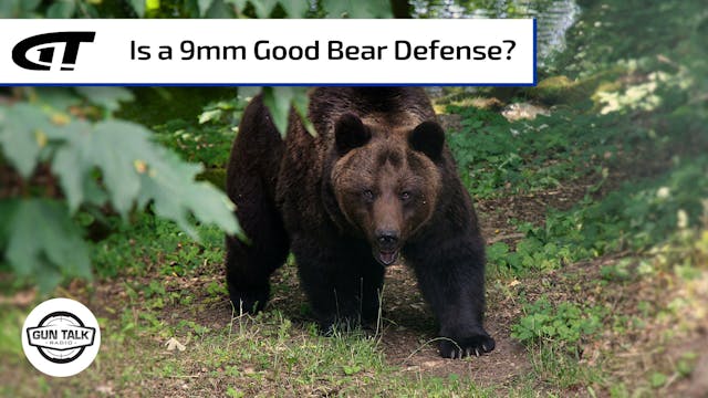 Is 9mm Enough for Bears?