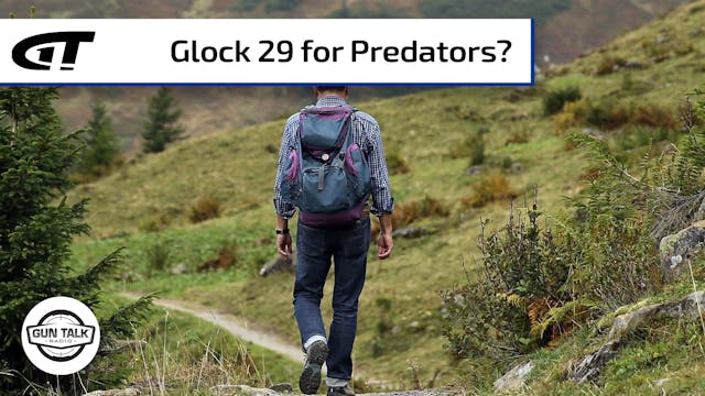 Is the Glock 29 a Bear or Lion Gun?