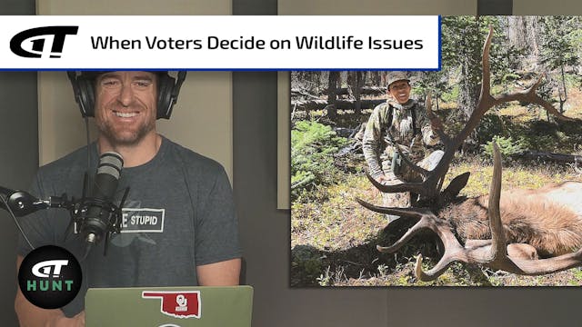 Colorado’s Wolf Problem; 411 on Appli...