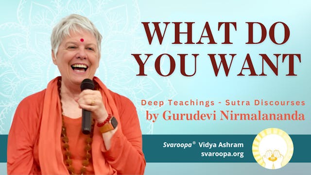 What Do You Want Trailer 11/12/23