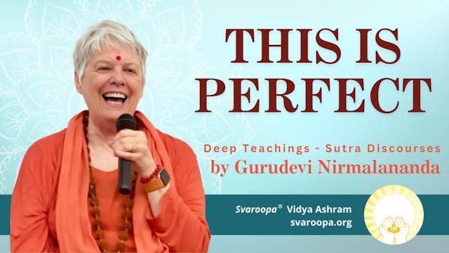 This Is Perfect Trailer 6/25/23