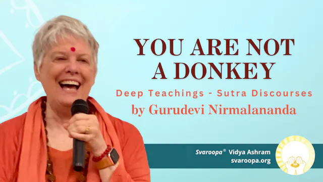 You Are Not a Donkey 9/16/26