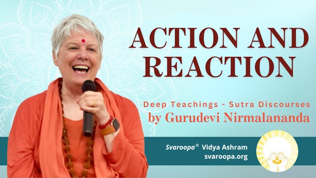 Action And Reaction Trailer 11/5/23