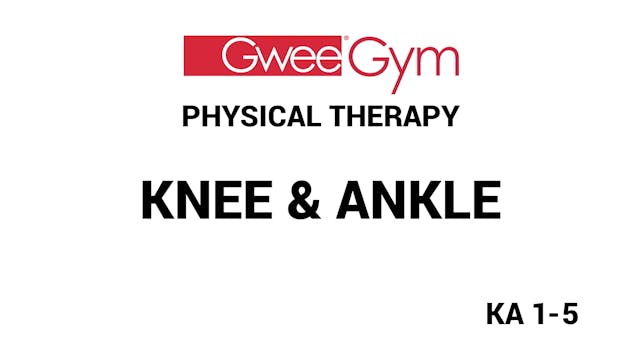 Knee & Ankle Exercises for Physical T...