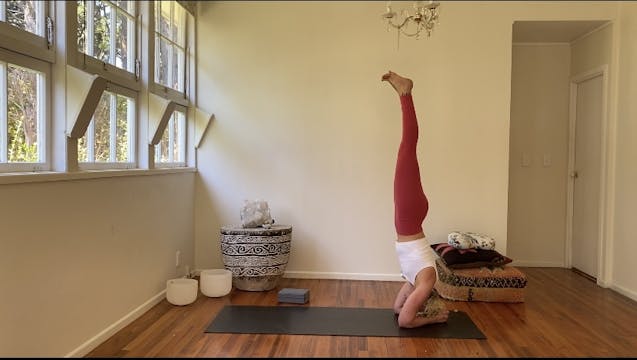 Road to Sirsasana A, (head stand).