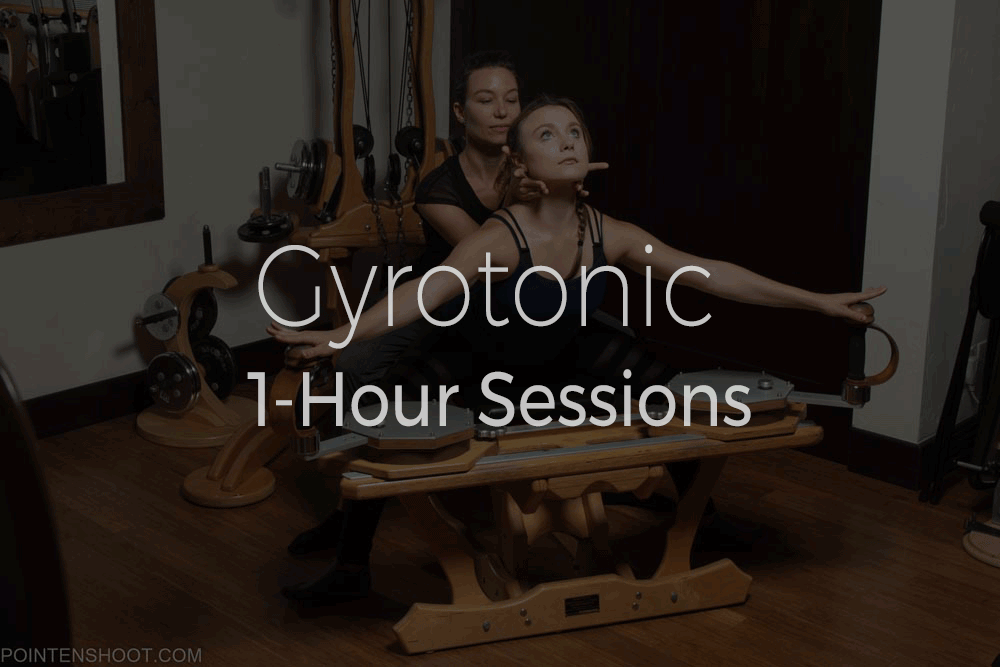 1 Hour Gyrotonic Sessions