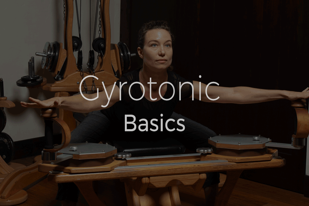Gyrotonic - Basics