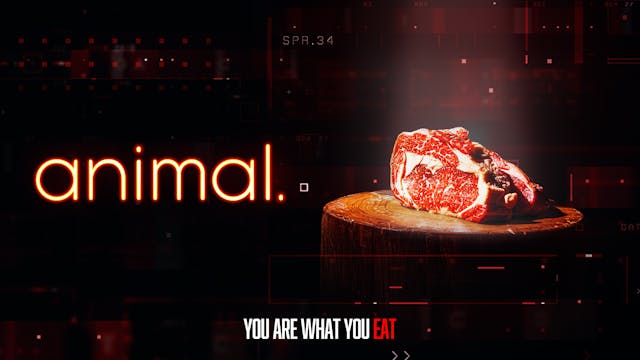 animal.