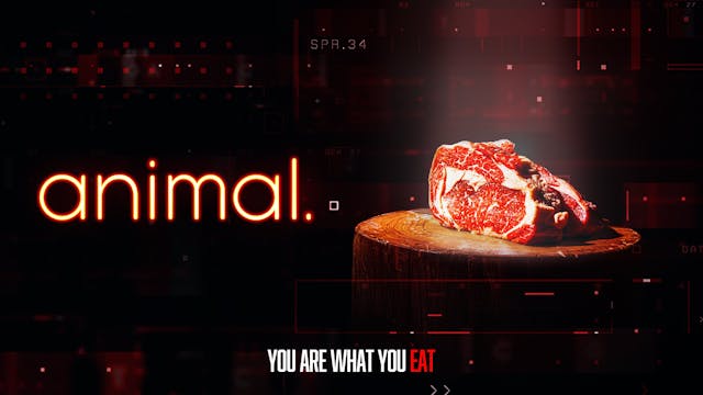 animal.