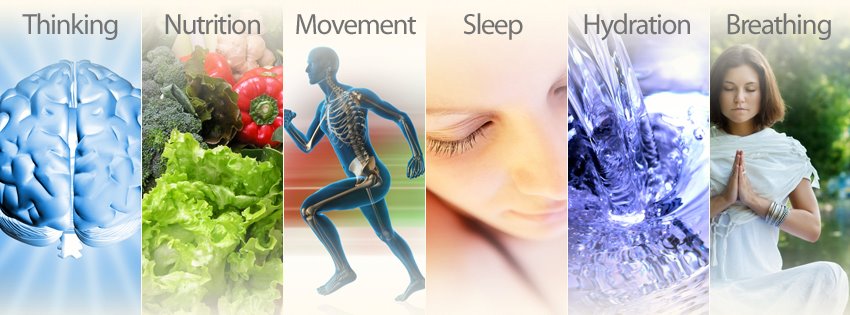 The Whole You: Holistic Lifestyle Coaching