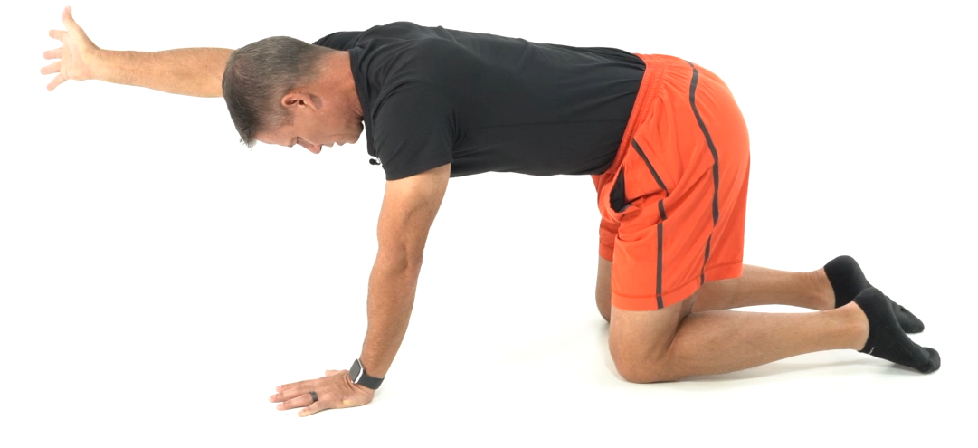 ELDOA General Wellness #8