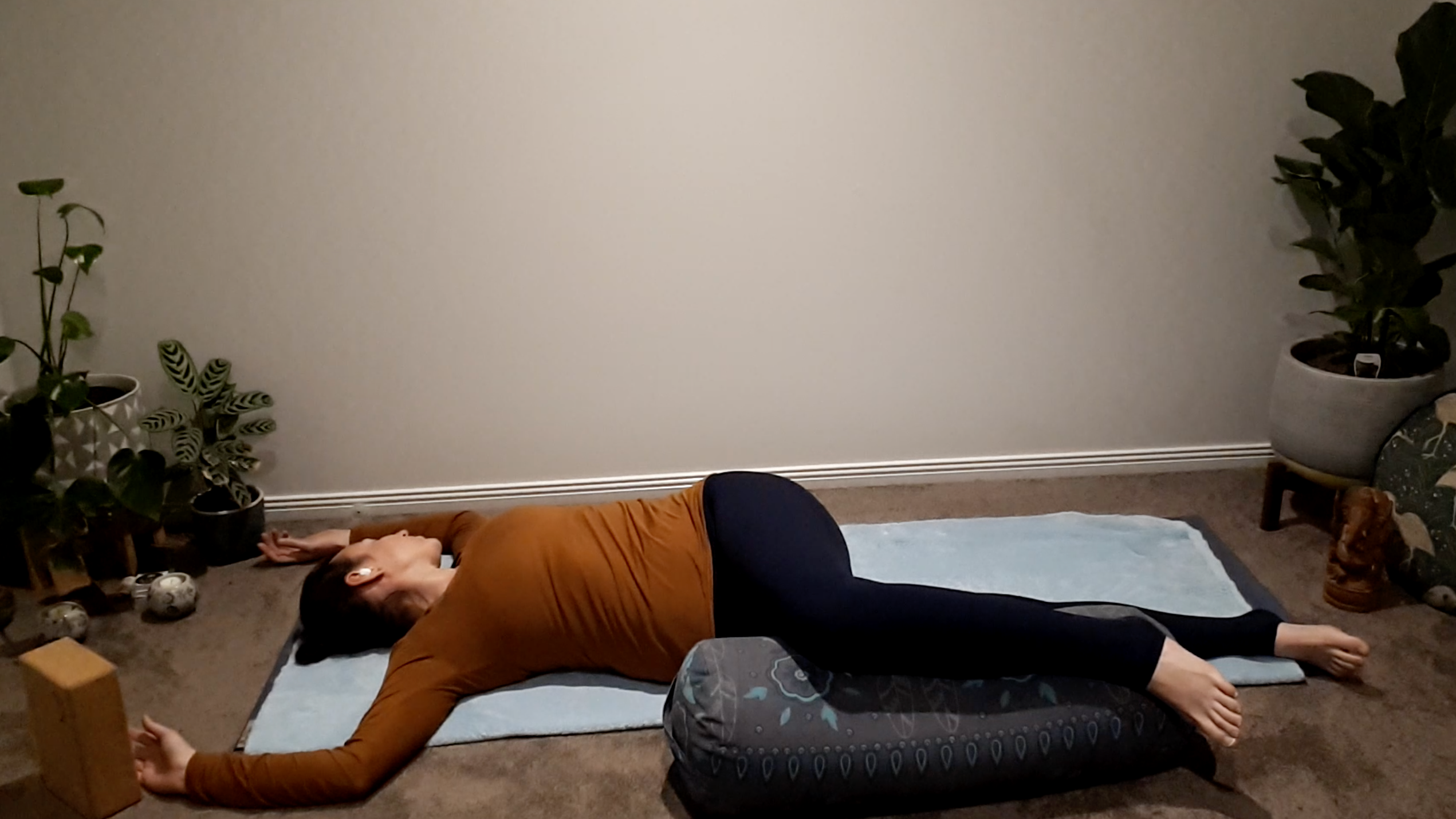 Kidney and Bladder Meridian 30min Yin with Lou Saliba