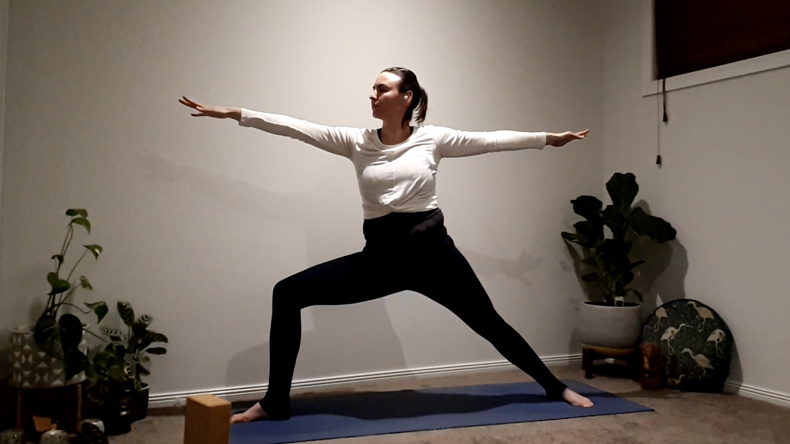 Dharana Concentration 30min Vinyasa with Lou Saliba