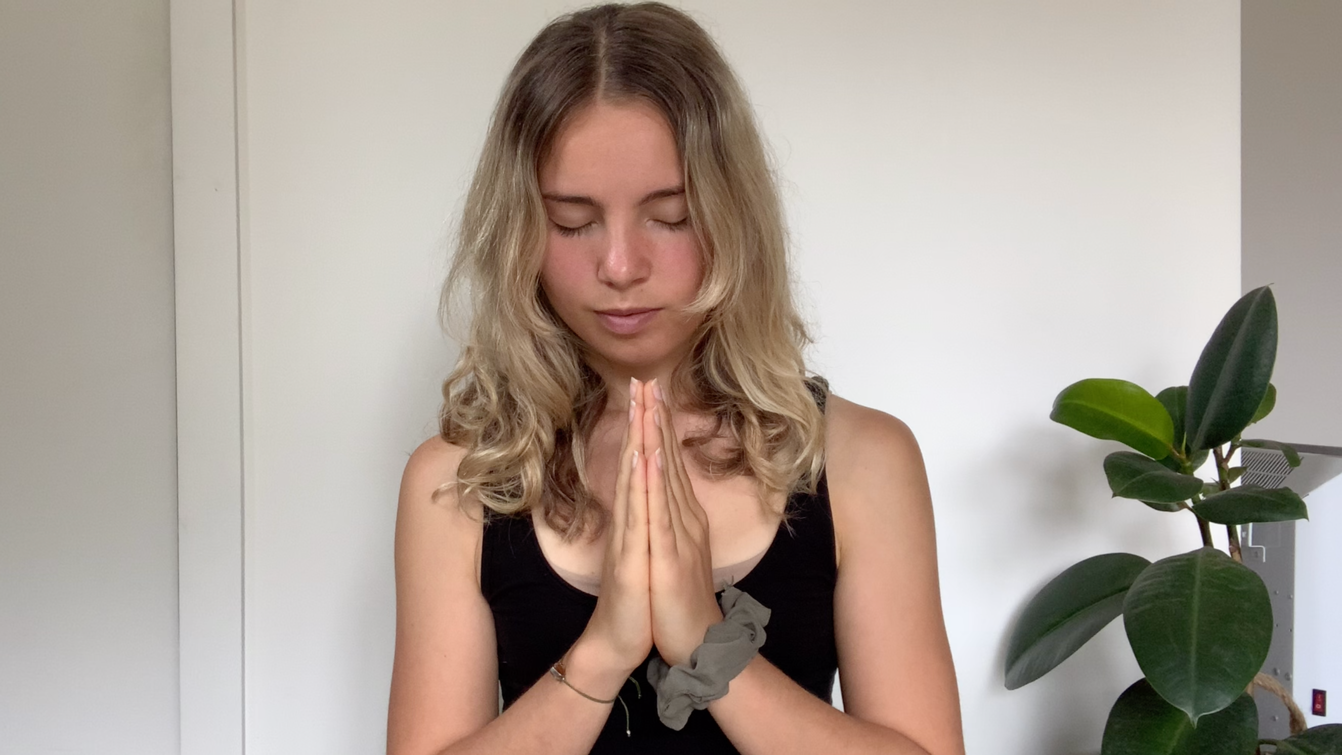 Habitus Yoga Video