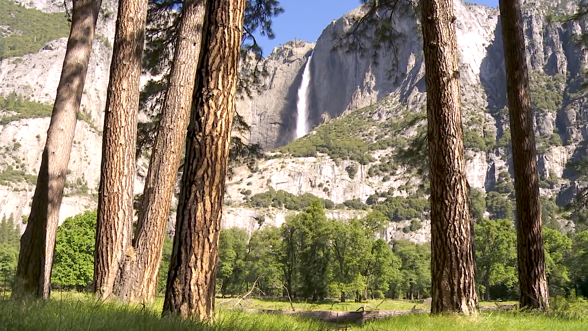 Sounds of Yosemite