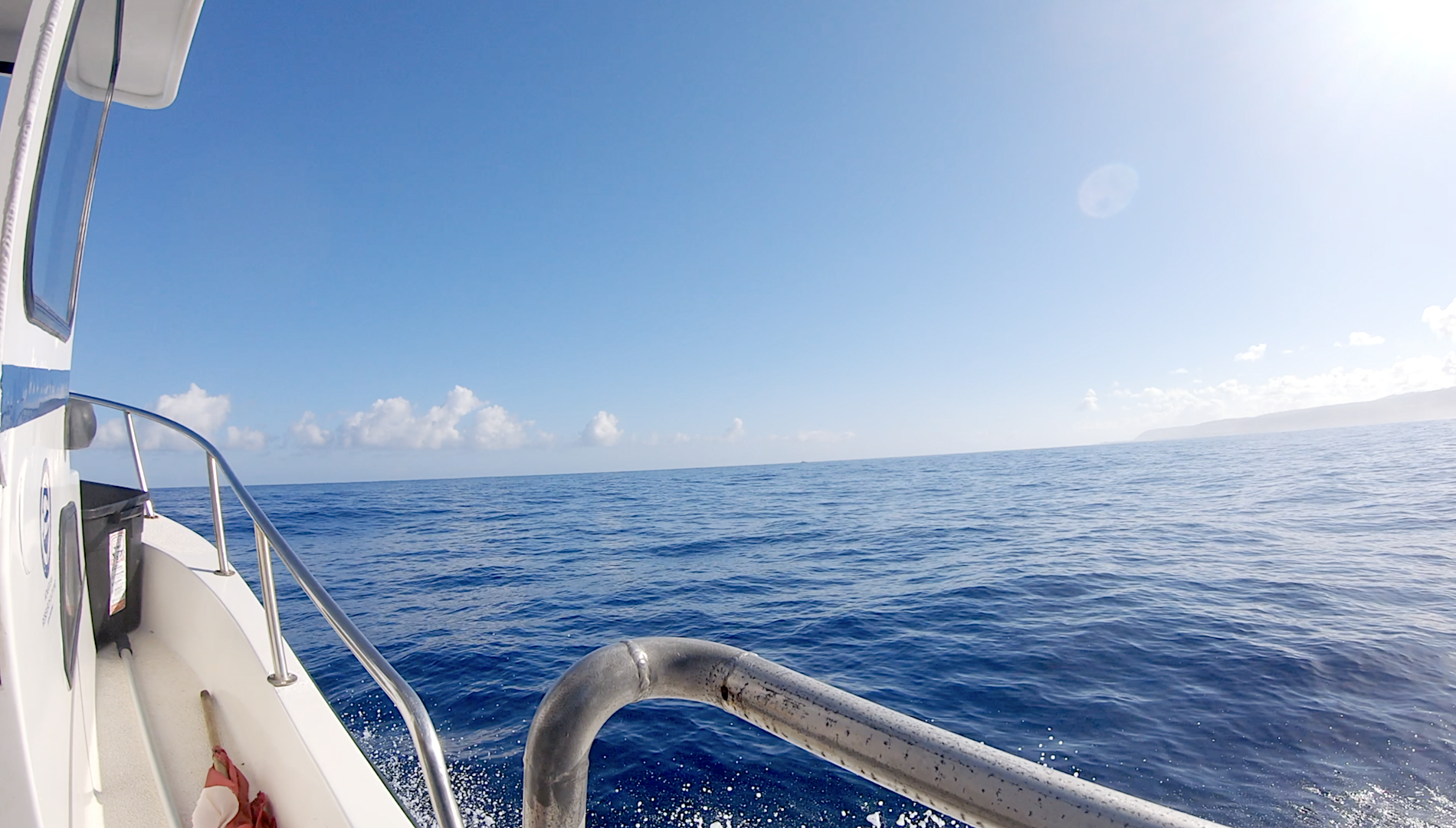 Shark Whisperer: Hawaii Clip – Adventure Will Follow (Vol I)