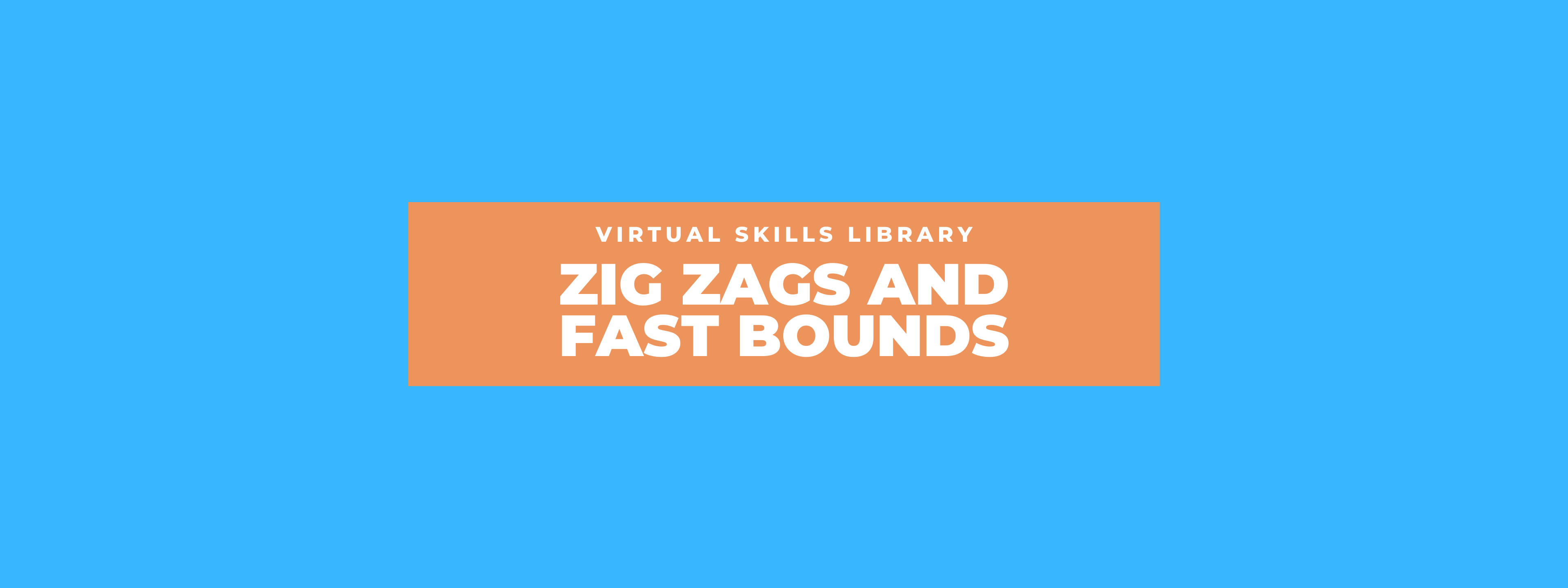 Zig Zag and Fast Bound Drills (One Ball)