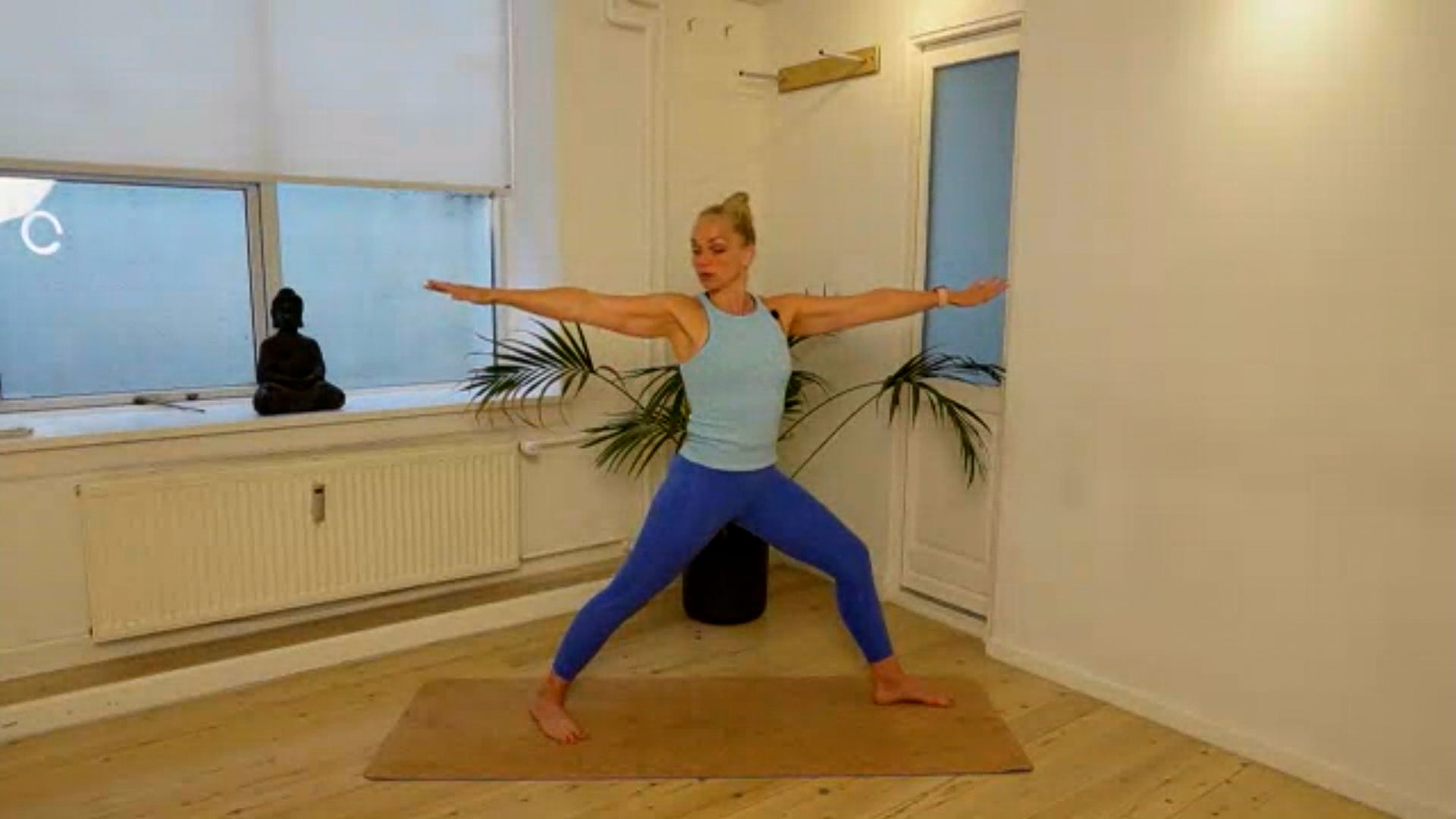 Body Remedy Training in English d. 16 july