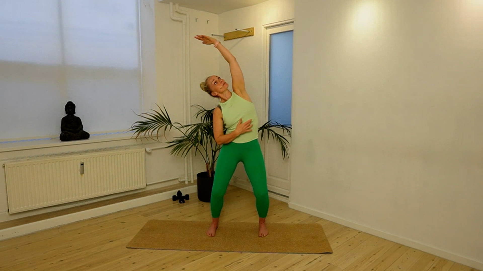 Body Remedy Training in English d. 18 july