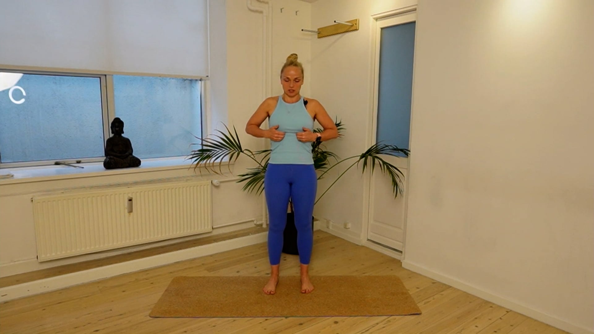 Body Remedy Training in English d. 16 july