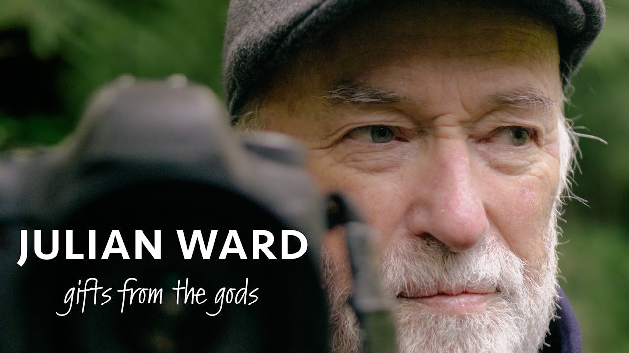 Julian Ward - Gifts from the Gods