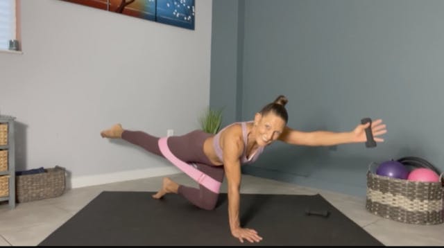 Total Body 25 with loop band & light ...