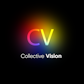 Collective Vision