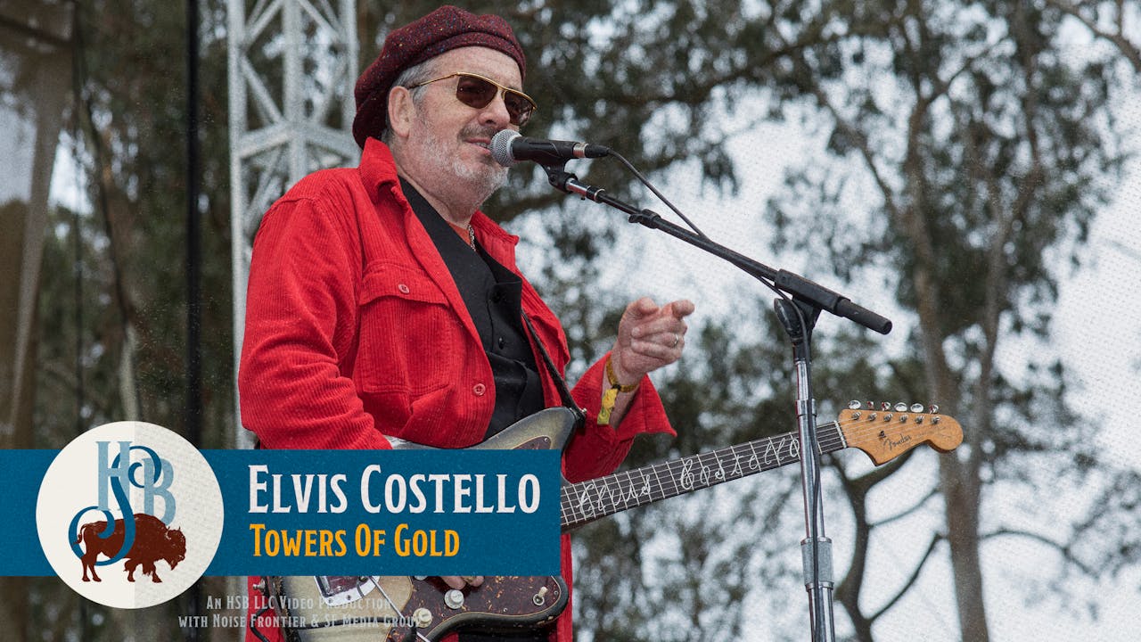 Elvis Costello Hardly Strictly Bluegrass TV